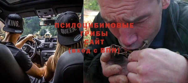 бошки Переславль-Залесский