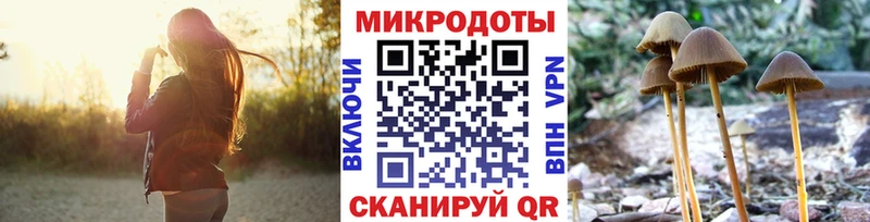Галлюциногенные грибы Psilocybine cubensis  где купить наркоту  гидра ссылка  Туринск 